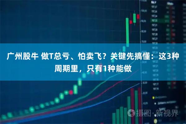 广州股牛 做T总亏、怕卖飞？关键先搞懂：这3种周期里，只有1种能做