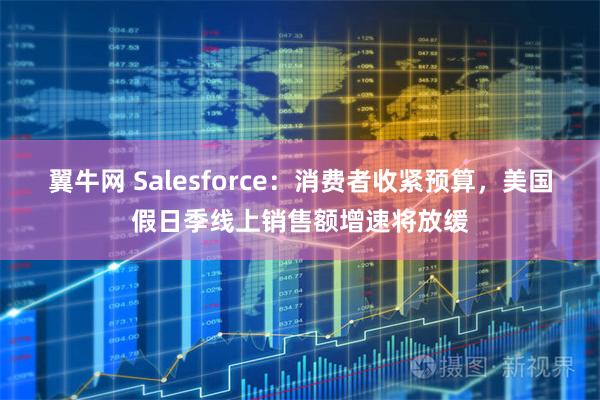 翼牛网 Salesforce：消费者收紧预算，美国假日季线上销售额增速将放缓