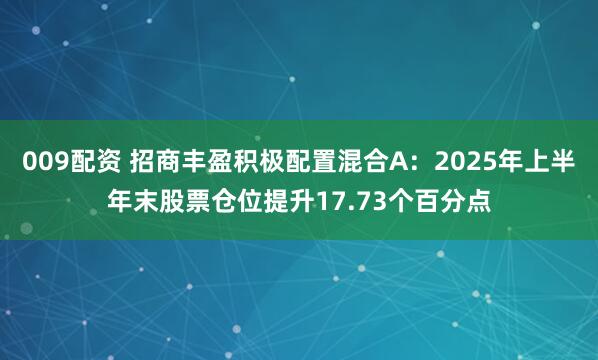 009配资 招商丰盈积极配置混合A：2025年上半年末股票仓位提升17.73个百分点